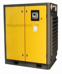 Máy nén khí trục vít Pegasus 15Kw