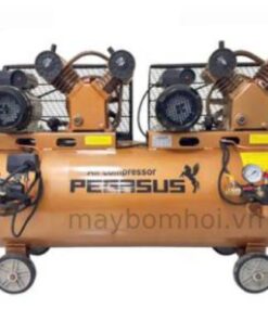 Máy nén khí Pegasus 3HP